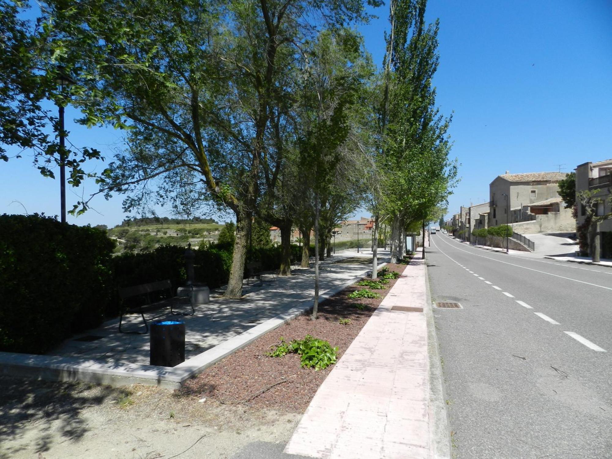 Cal Feliuet Hotel Passanant i Belltall Exterior photo